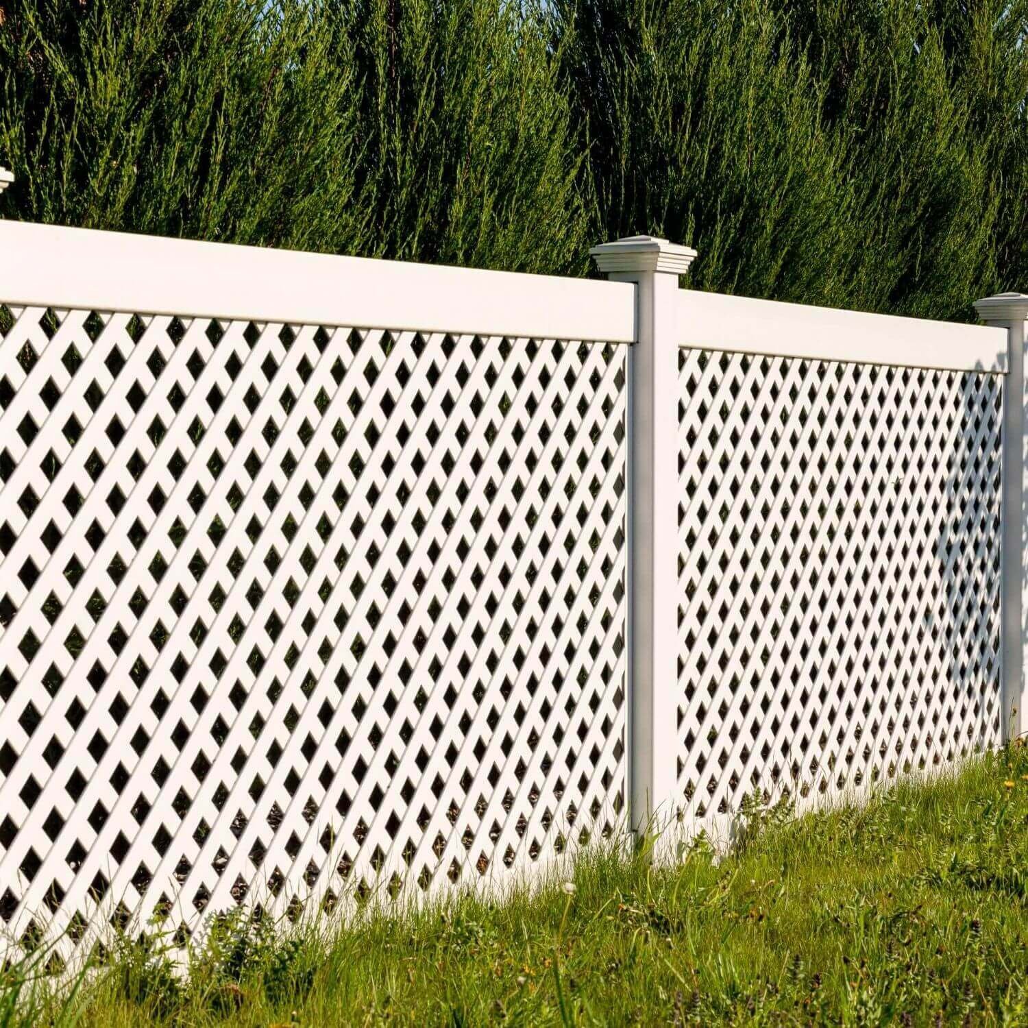 Privacy Fence services